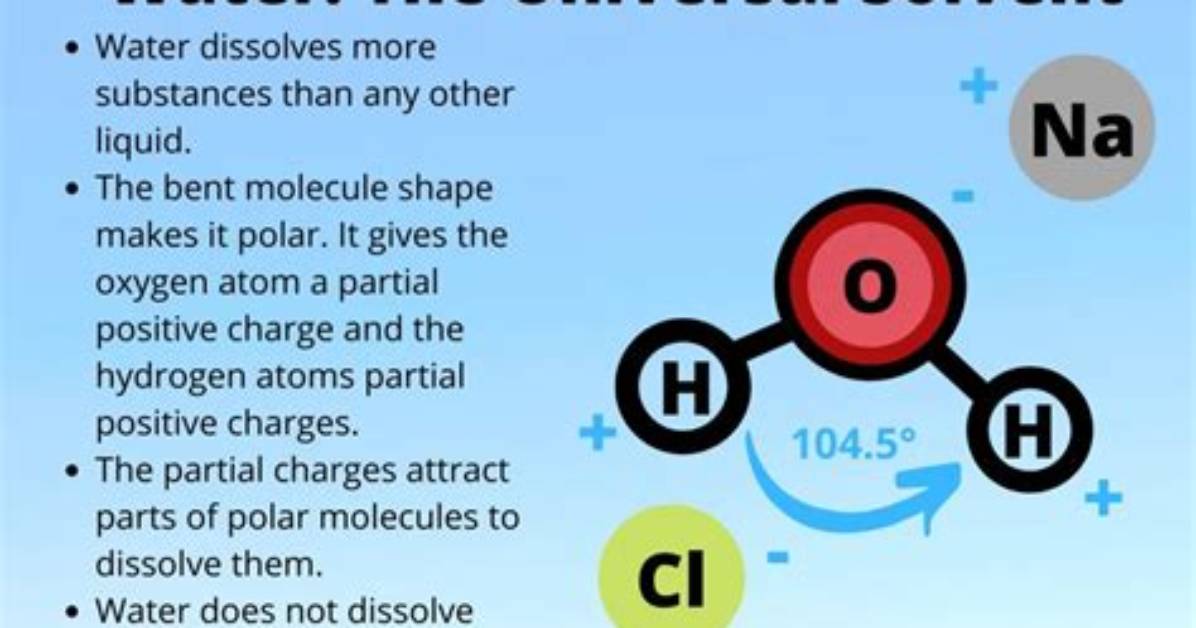 What Is the Universal Solvent