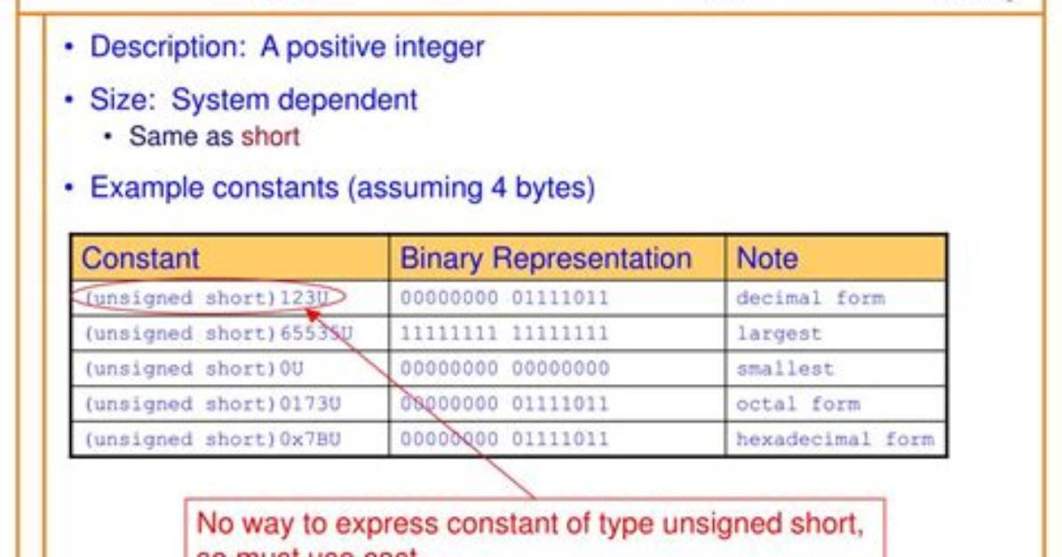 What Is the Unsigned Datatype?