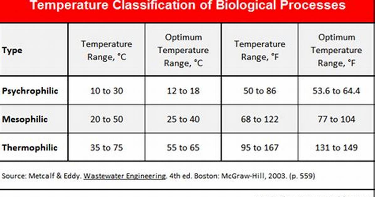 What Is the Upper Temperature Range for Stars