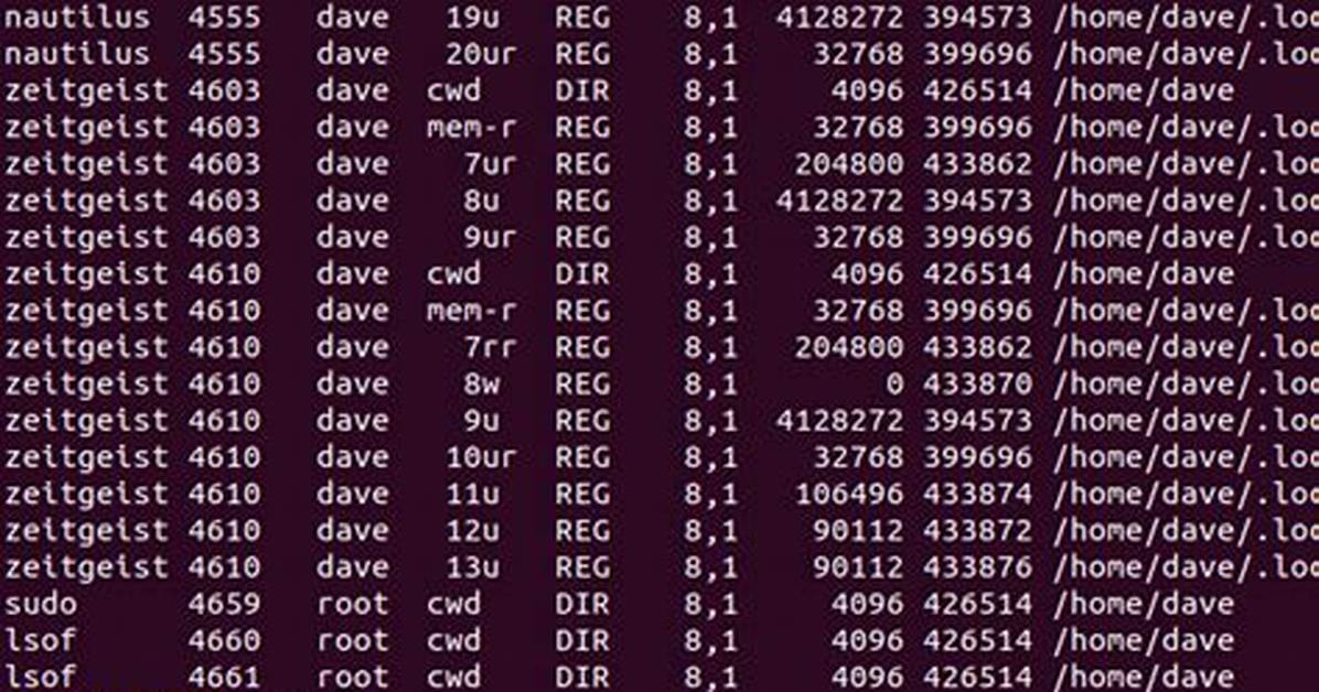 What Is the Use of Lsof Command in Linux?
