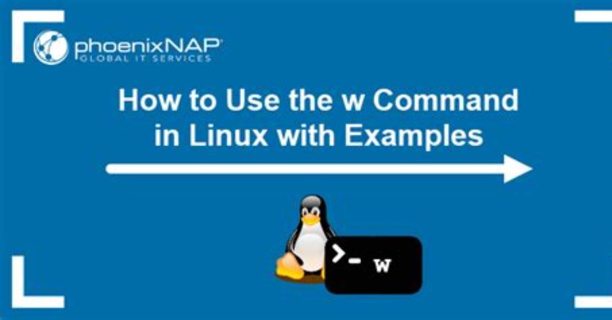 What Is the W Command in Linux?