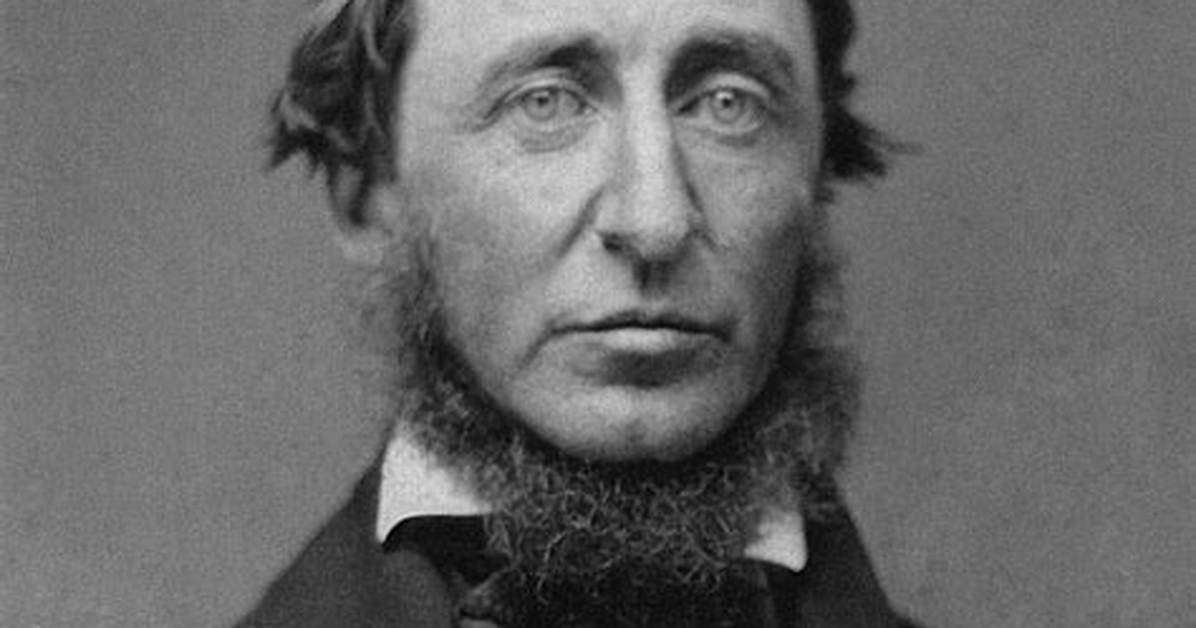 What Is Thoreau Calling for When He Writes Simplicity Simplicity Simplicity