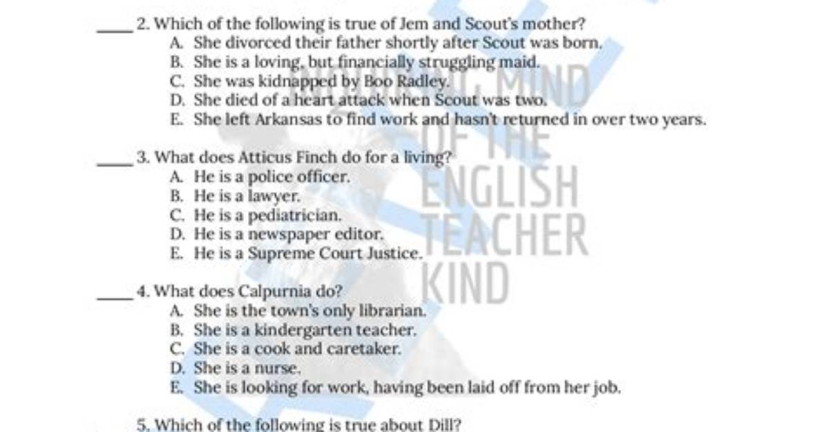 What Is to Kill a Mockingbird Chapter 2 About