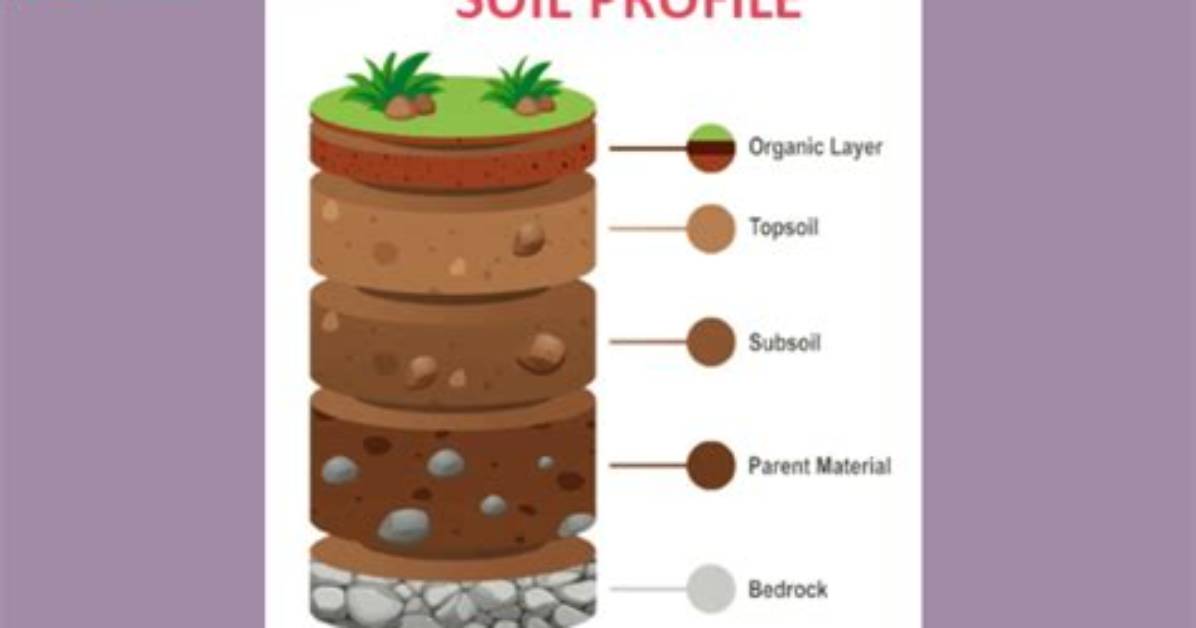 What Is Top Soil Explain