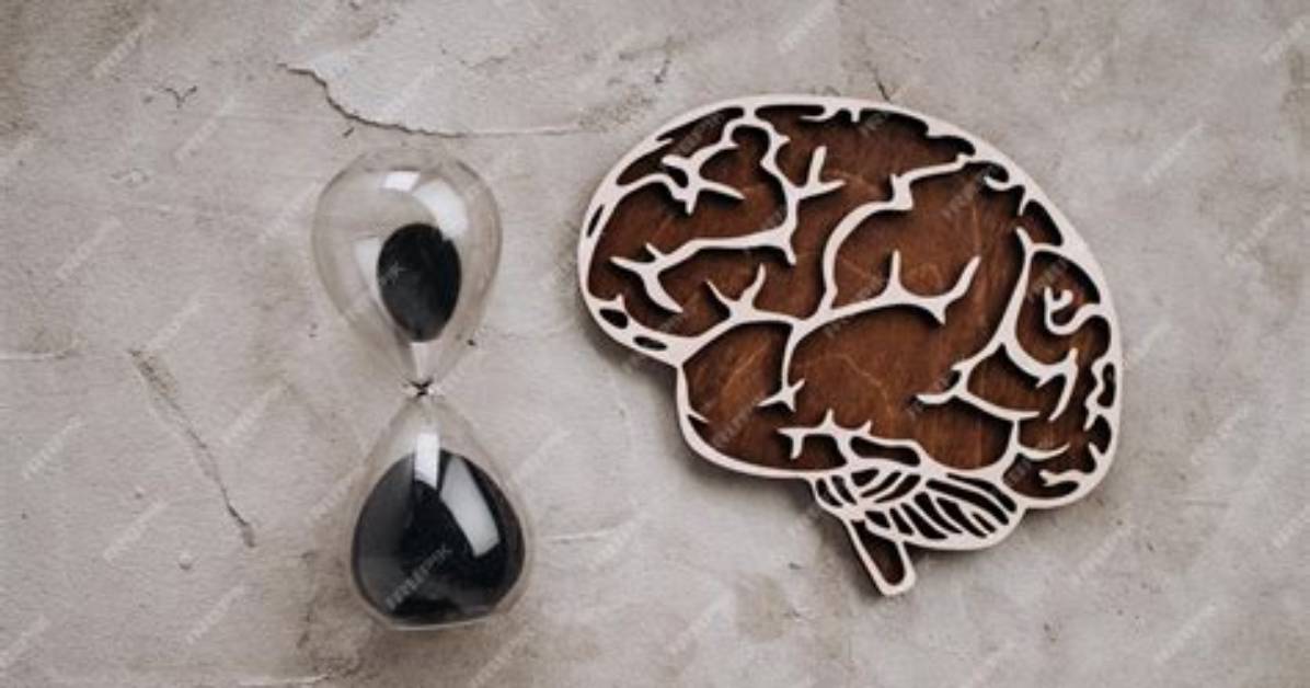 What Is Transience Memory?