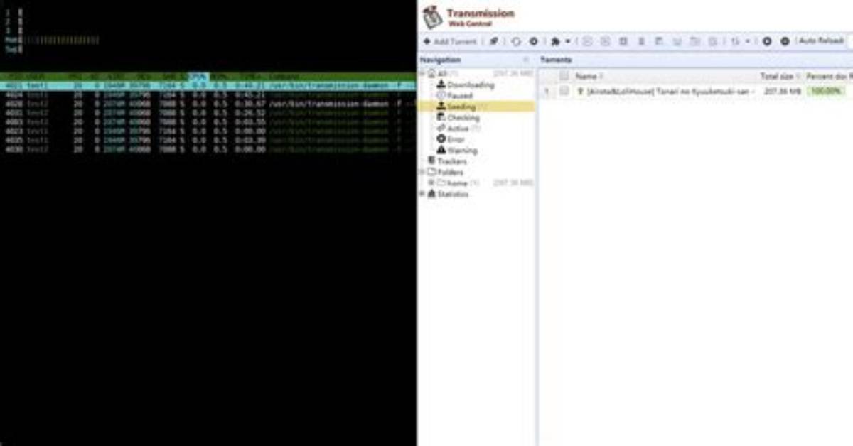What Is Transmission Daemon?