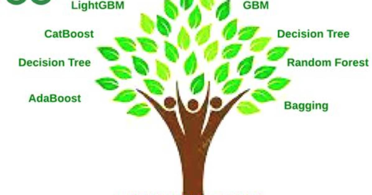 What Is Tree Based Algorithm