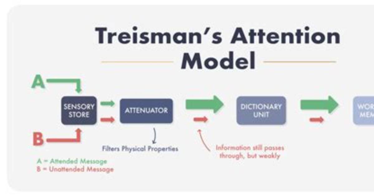 What Is Treisman Attenuation Model