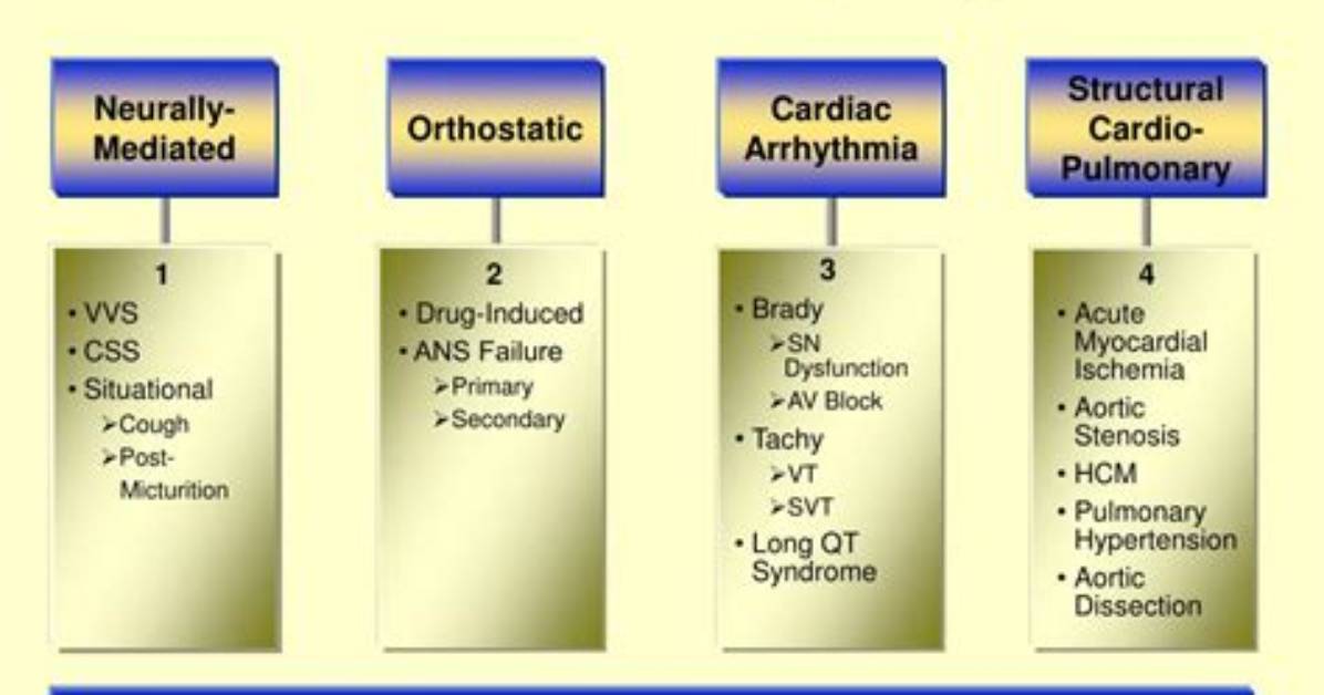 What Is True Syncope? | Contextresponse. Com