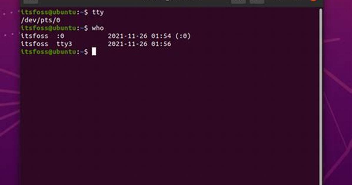What Is Tty in Linux Command?