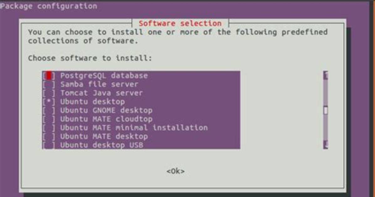 What Is Ubuntu Tasksel?