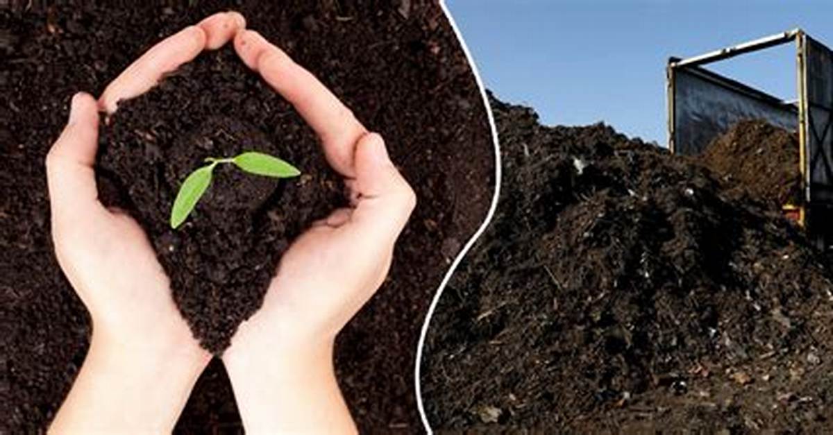 What Is Undecomposed Material?