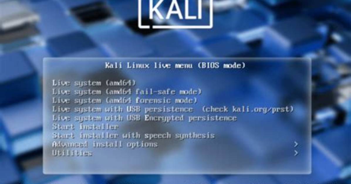 What Is Usb Persistence in Kali Linux?