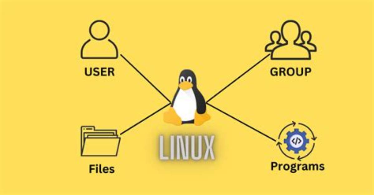 What Is User Management in Linux?