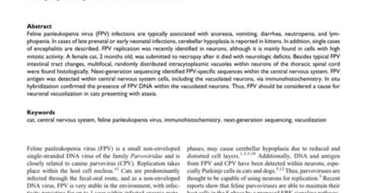 What Is Vacuolization Virus?