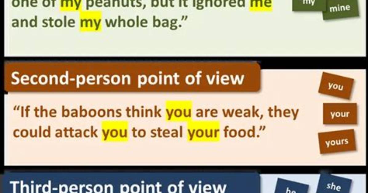 What Is View and Example