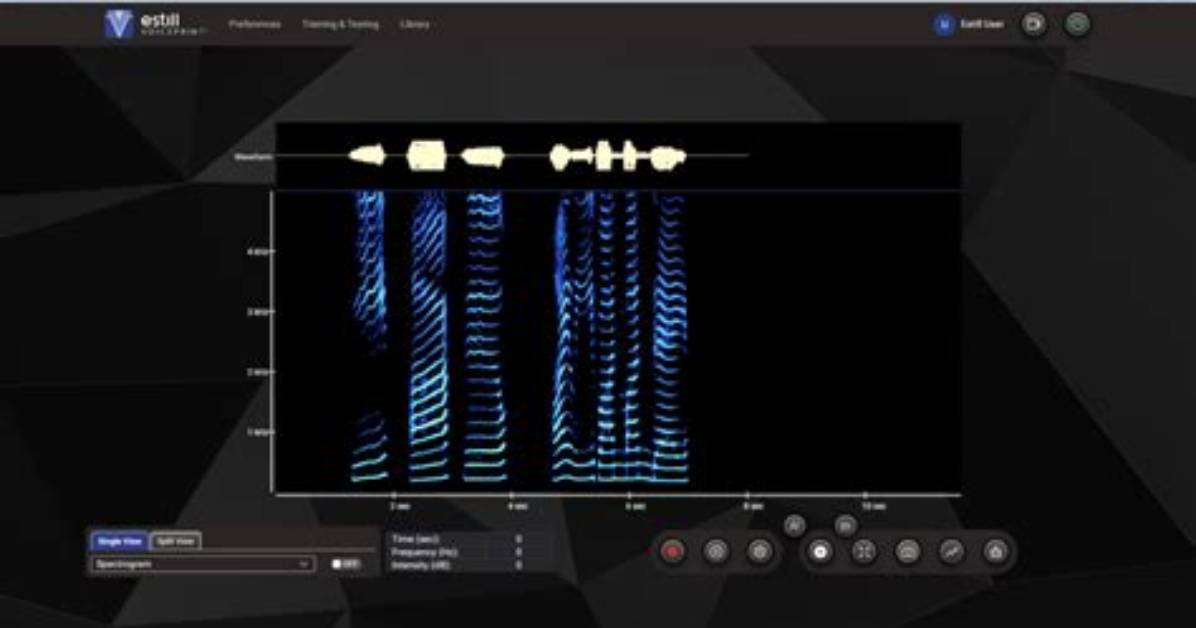 What Is Voiceprint Software?