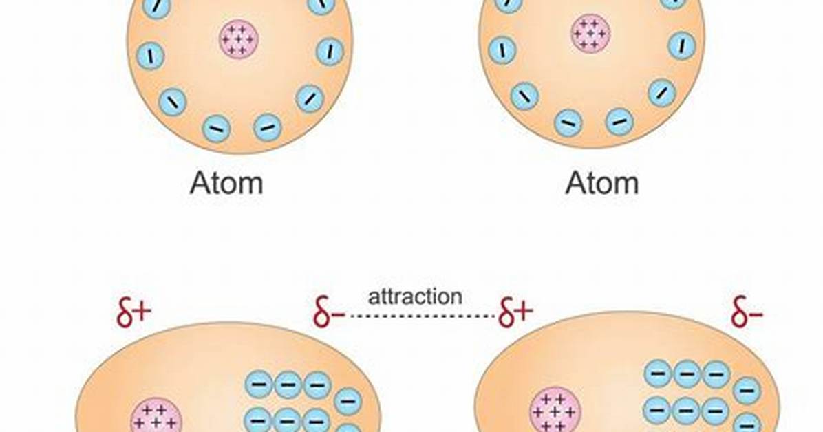 What Is Waals Interaction?