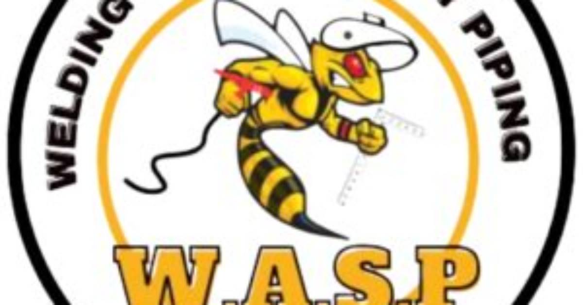 What Is Wasp Services?