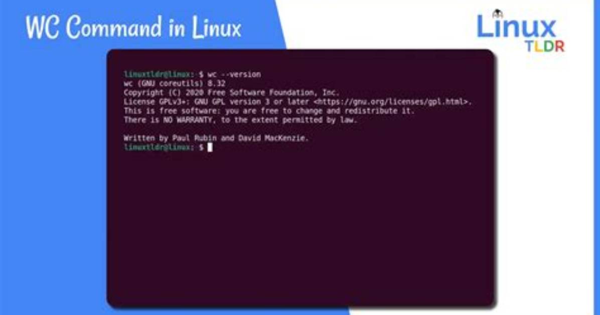 What Is Wc in Linux Command?