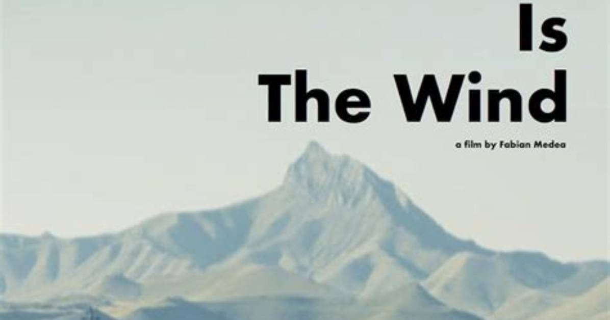 What Is Wild Wind?