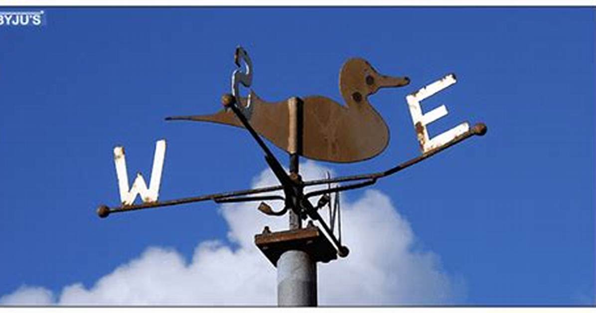 What Is Wind Vane Class 7