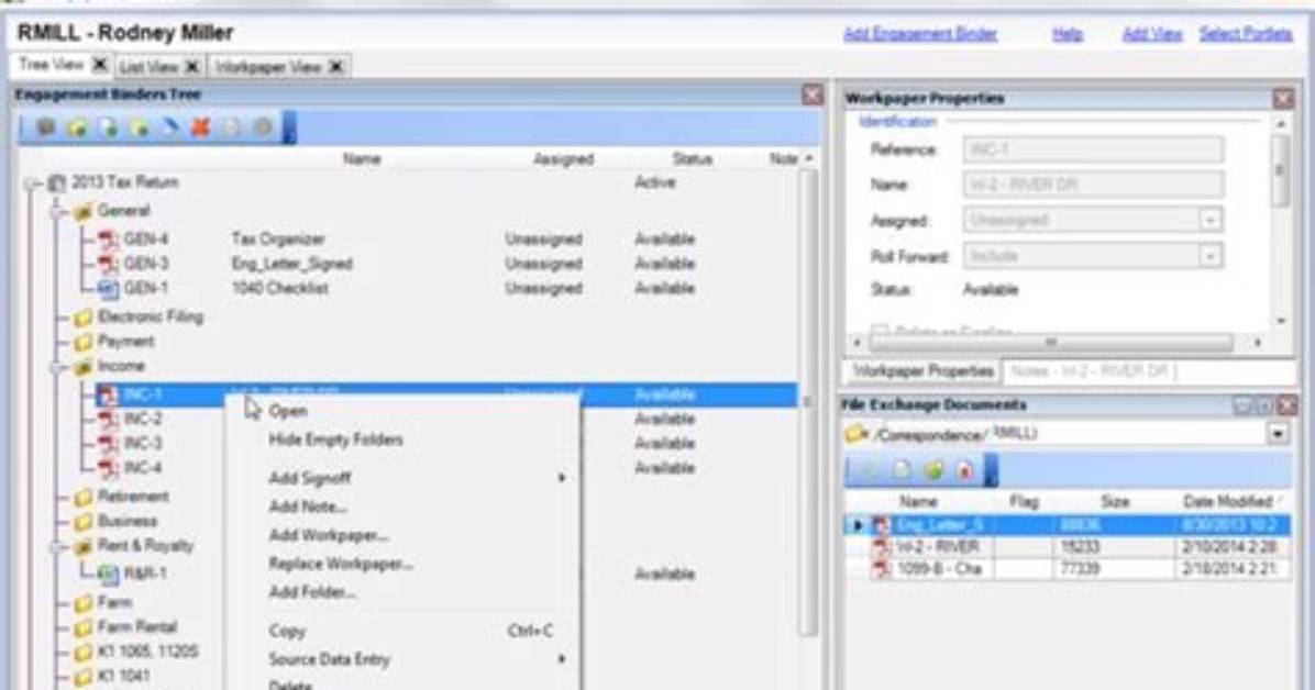 What Is Workpapers Cs