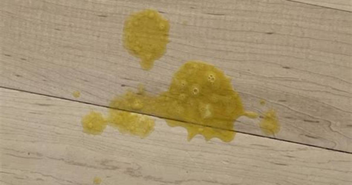 What Is Yellow Vomit?
