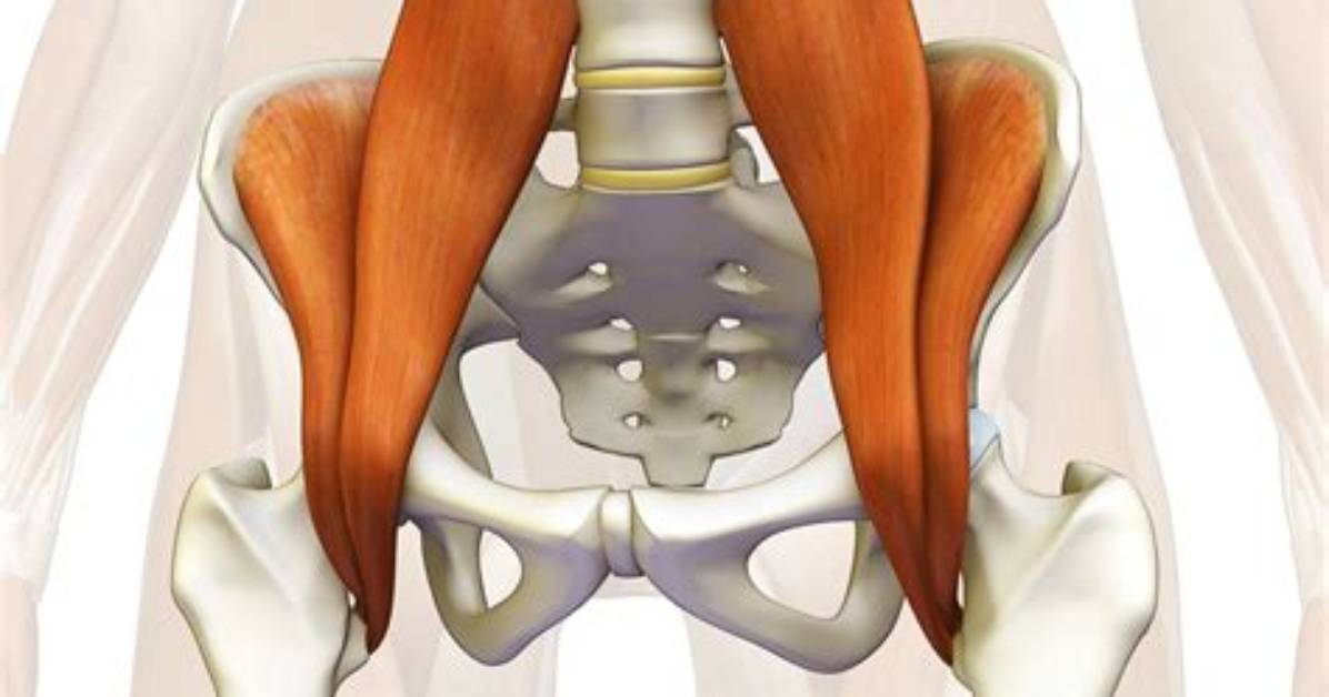 What Is Your Psoas