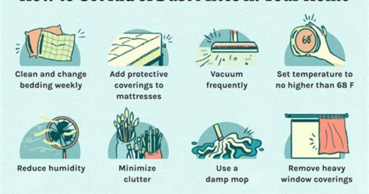 What Kills Mites