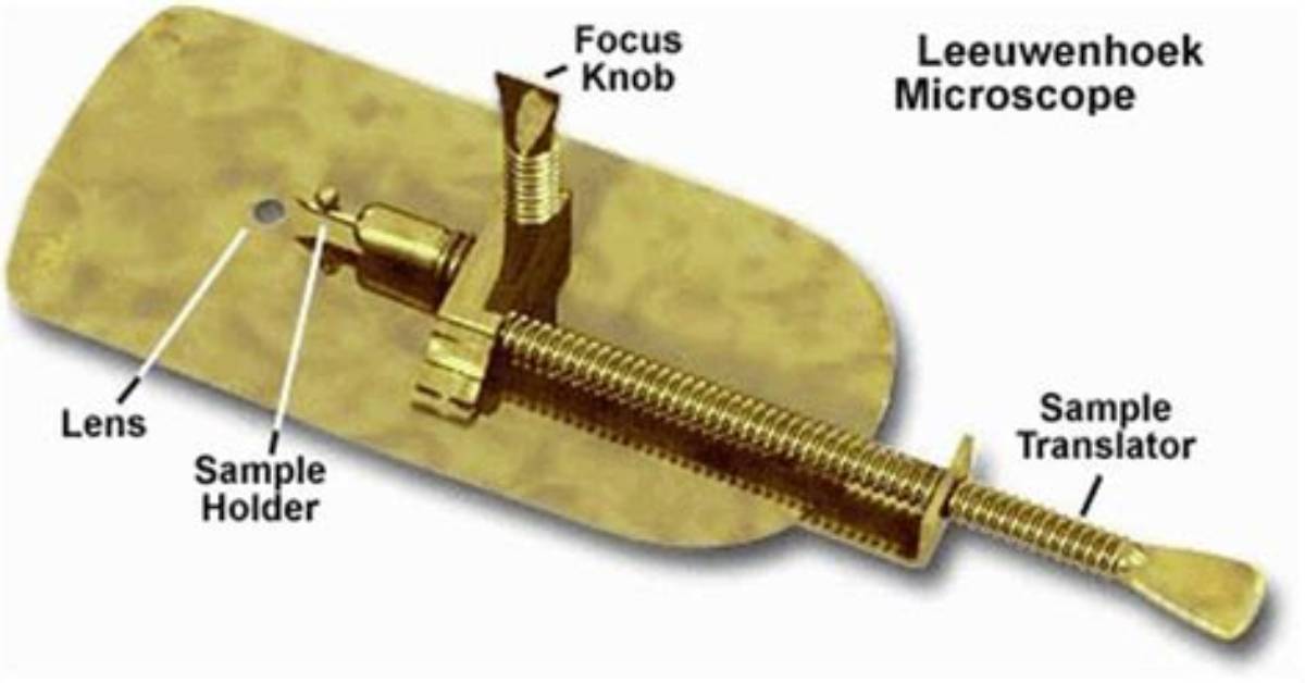 What Kind of Microscope Did Leeuwenhoek Use