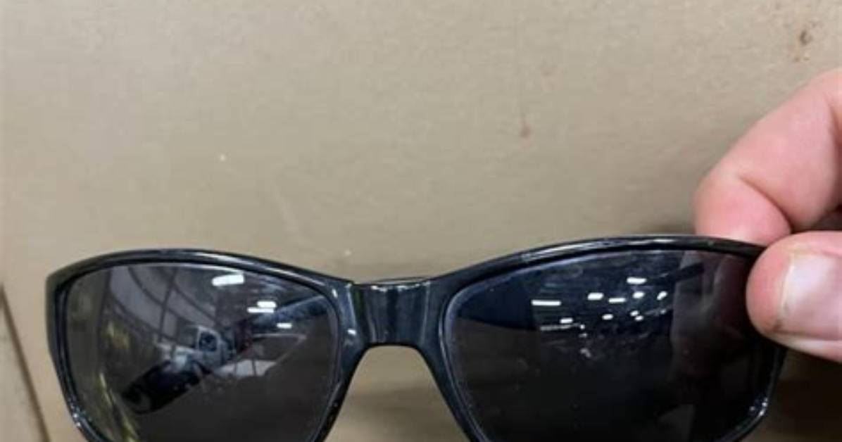 What Kind of Sunglasses Does R Lee Ermey Wear