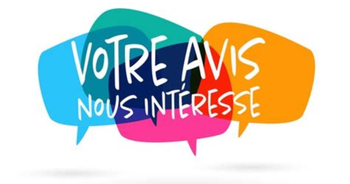 What Language Is Interesse?