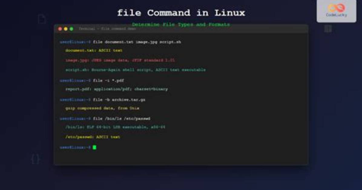 What Language Is Linux Coded in?