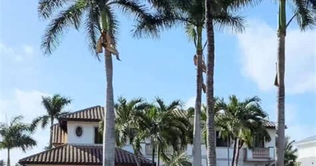 What’ll Happen to Boca Raton’s Former Ocean Breeze Golf Course? Here Are Some Ideas.