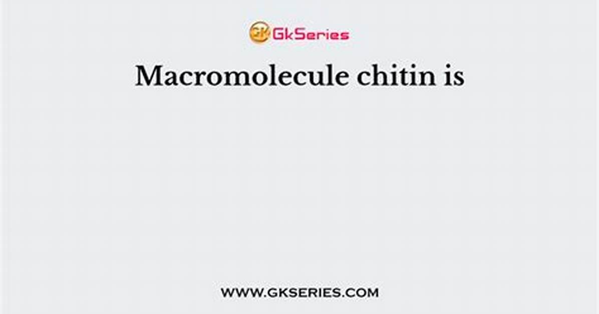What Macromolecule Is Chitin?