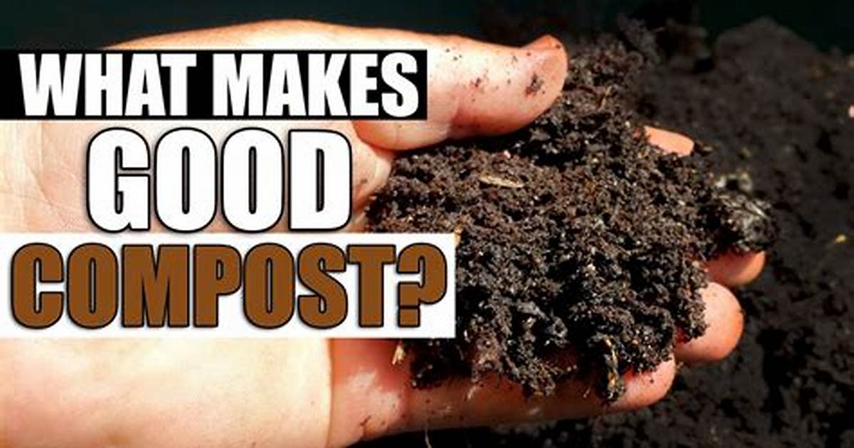 What Makes a Good Compost