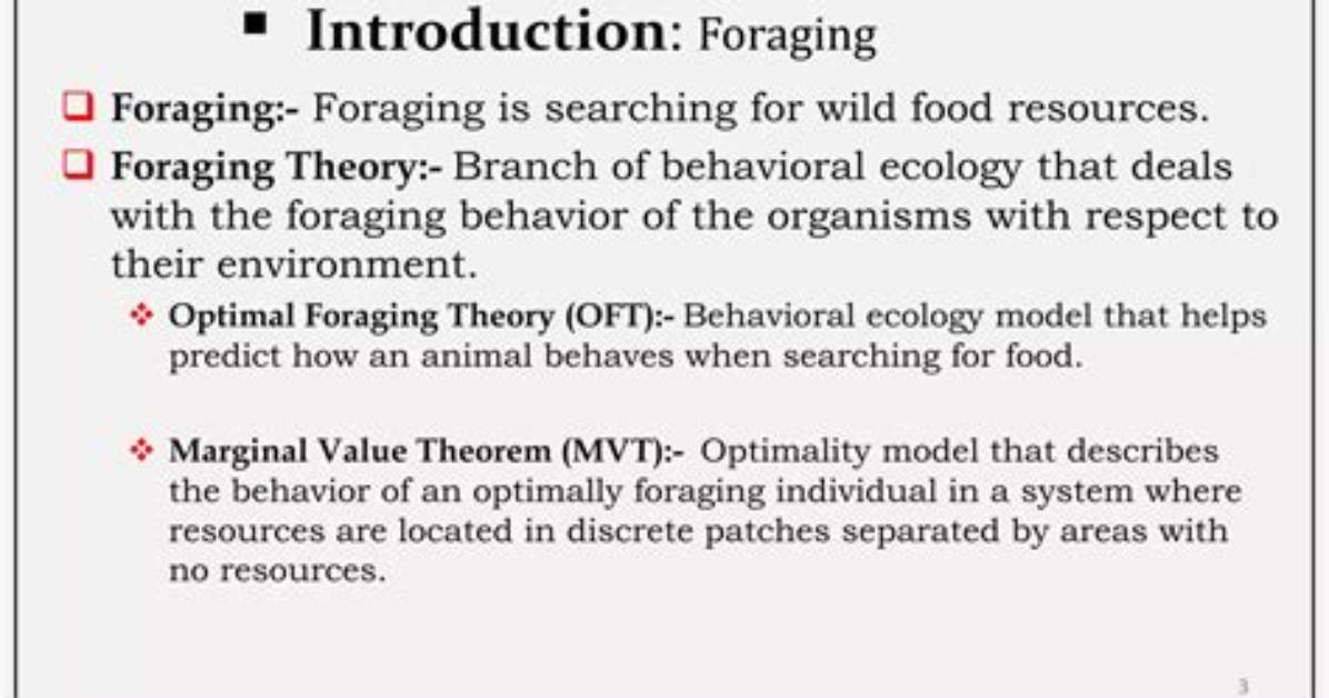 What Makes Foraging Behavior Optimal