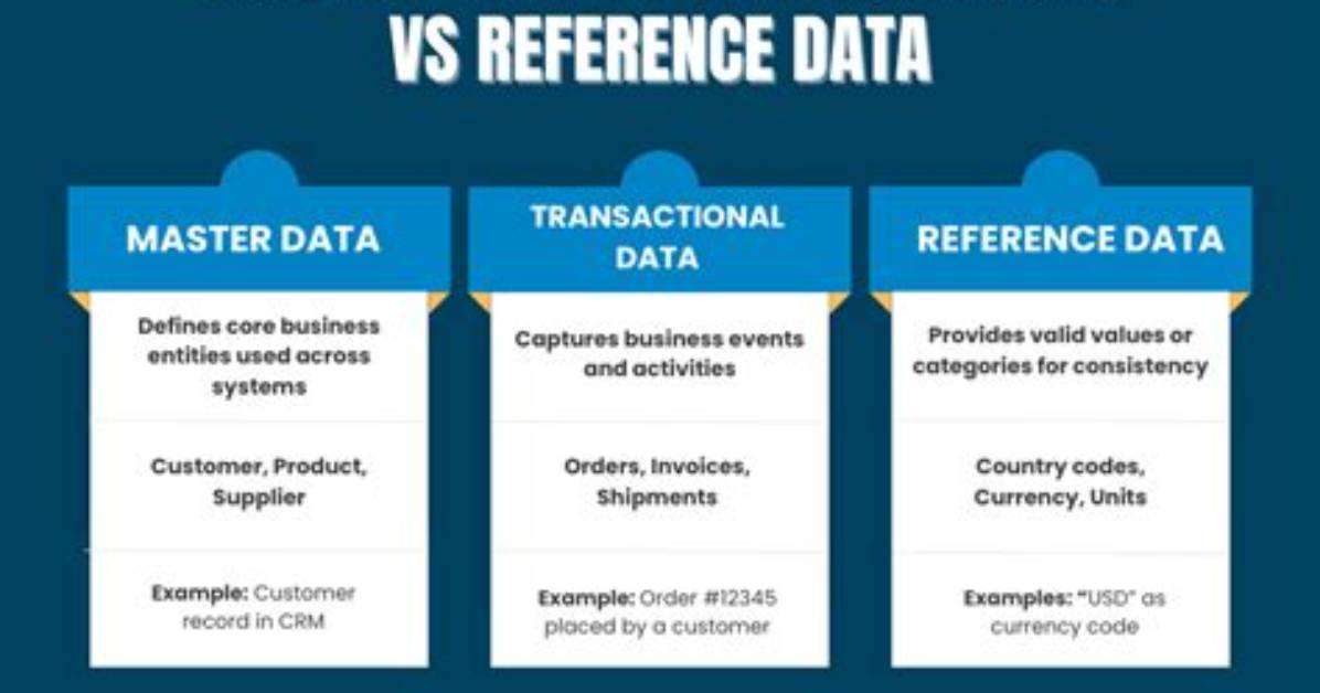 What Master Data Means