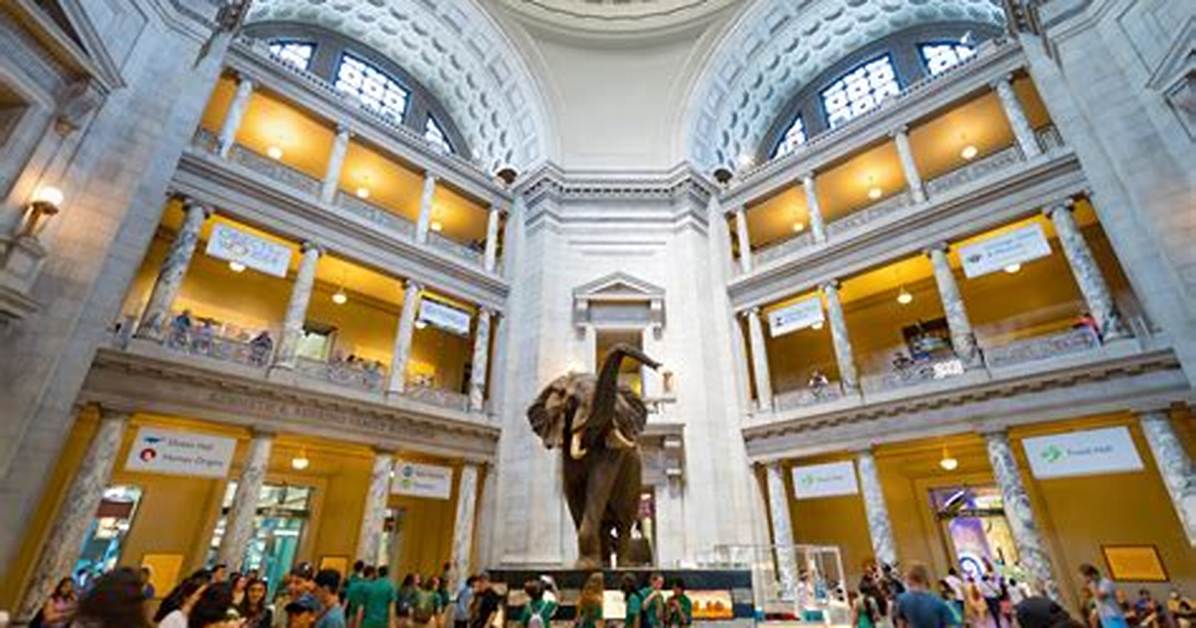 What Museums in Dc Are Open