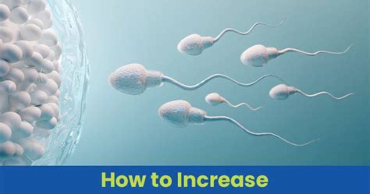 What Naturally Increases Sperm? | Contextresponse. Com