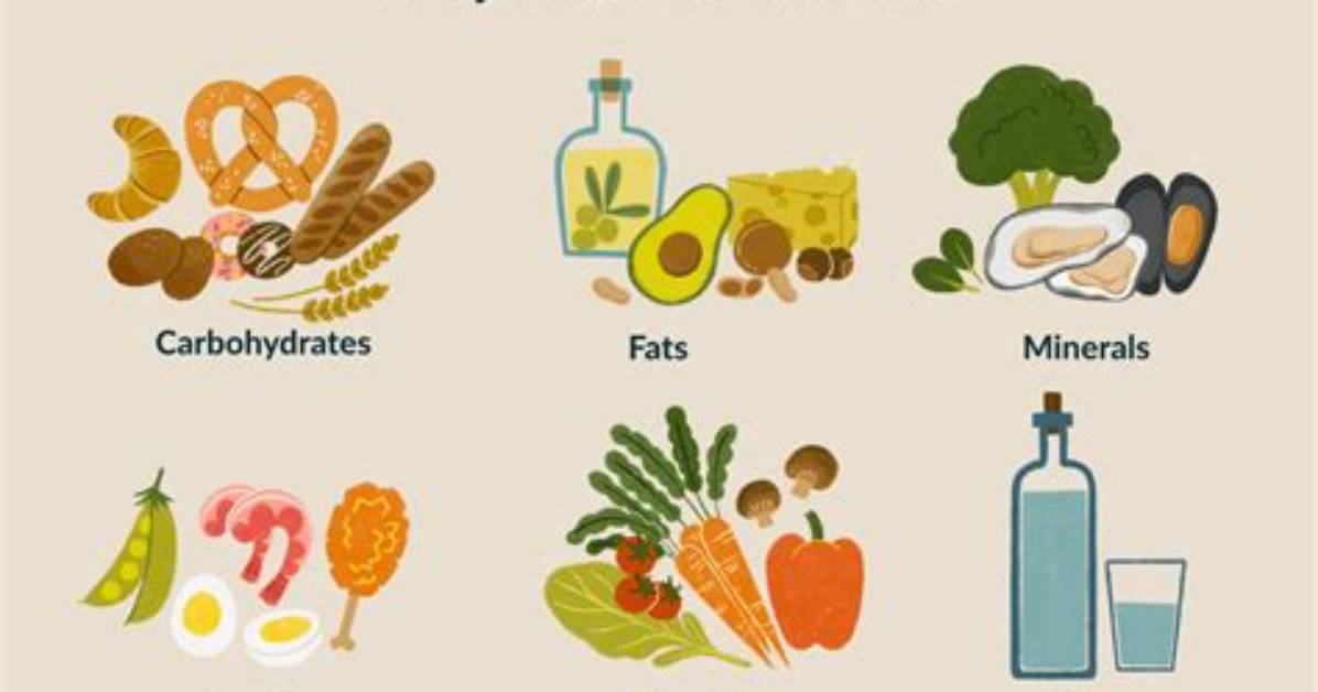What Nutrients Does Cotton Need