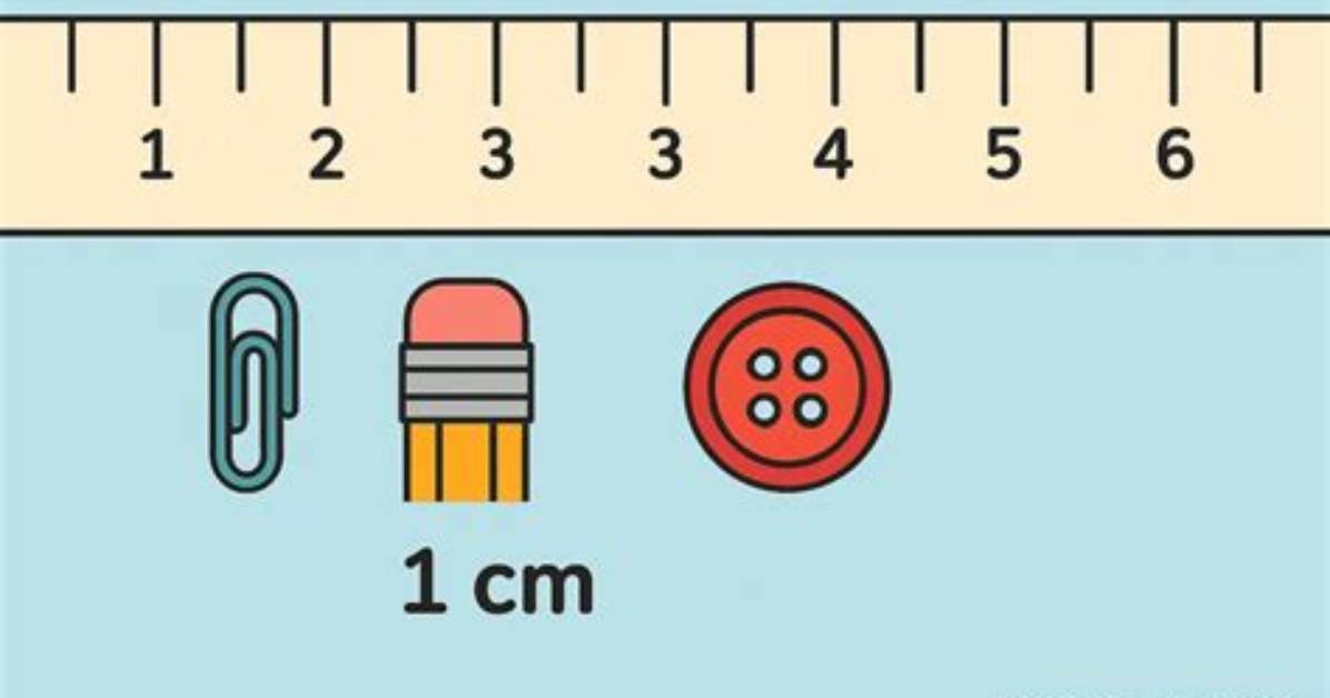 What Objects Are 1 Cm Long?