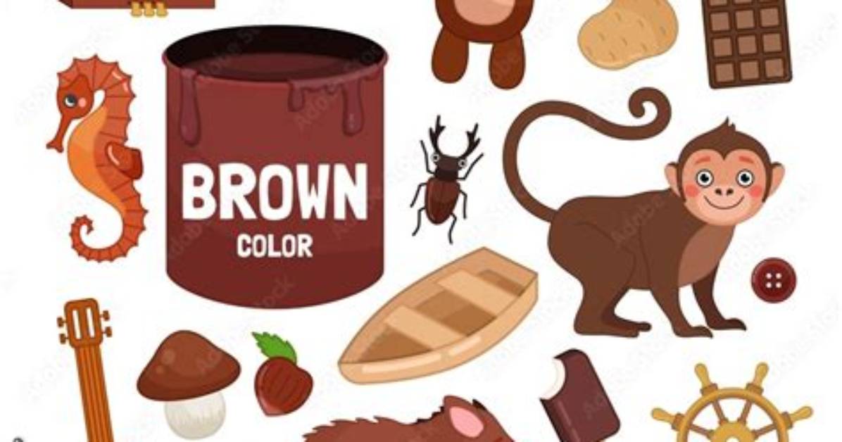 What Objects Are Brown