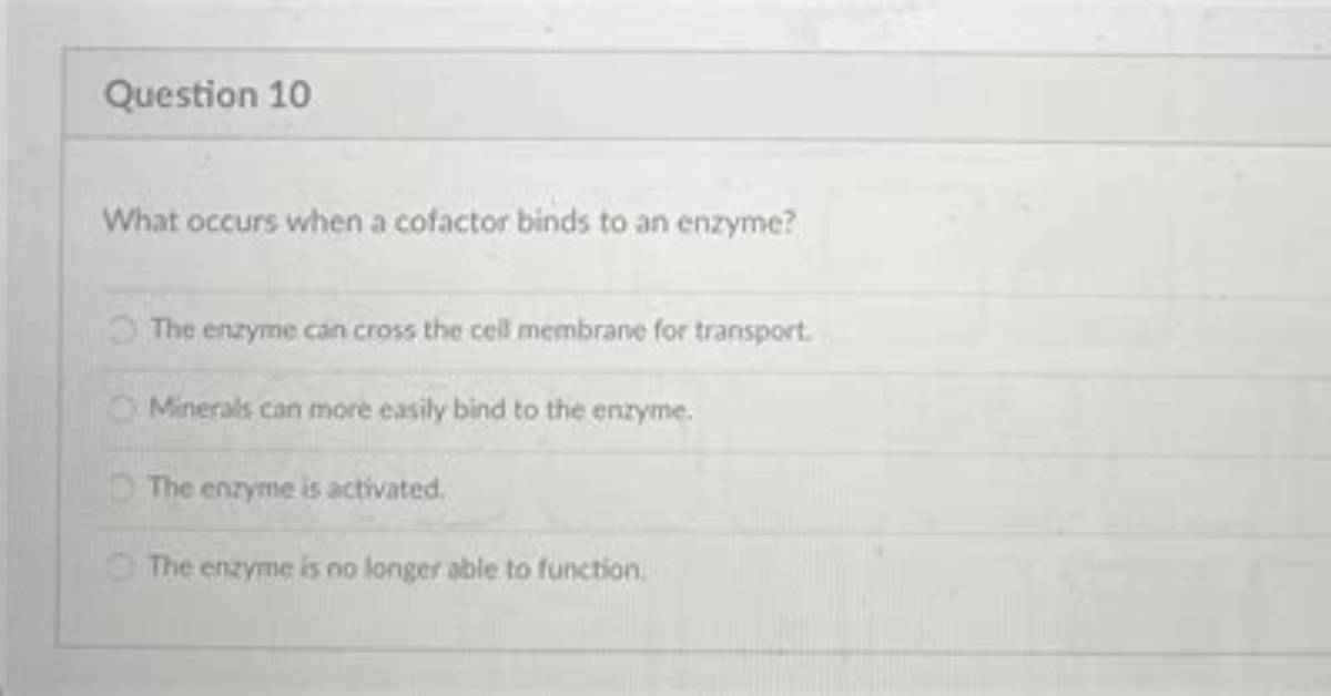 What Occurs When Cofactor Binds to an Enzyme