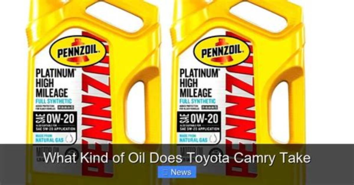What Oil Does a 22Re Take