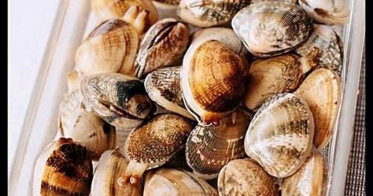 What Order Is a Clam