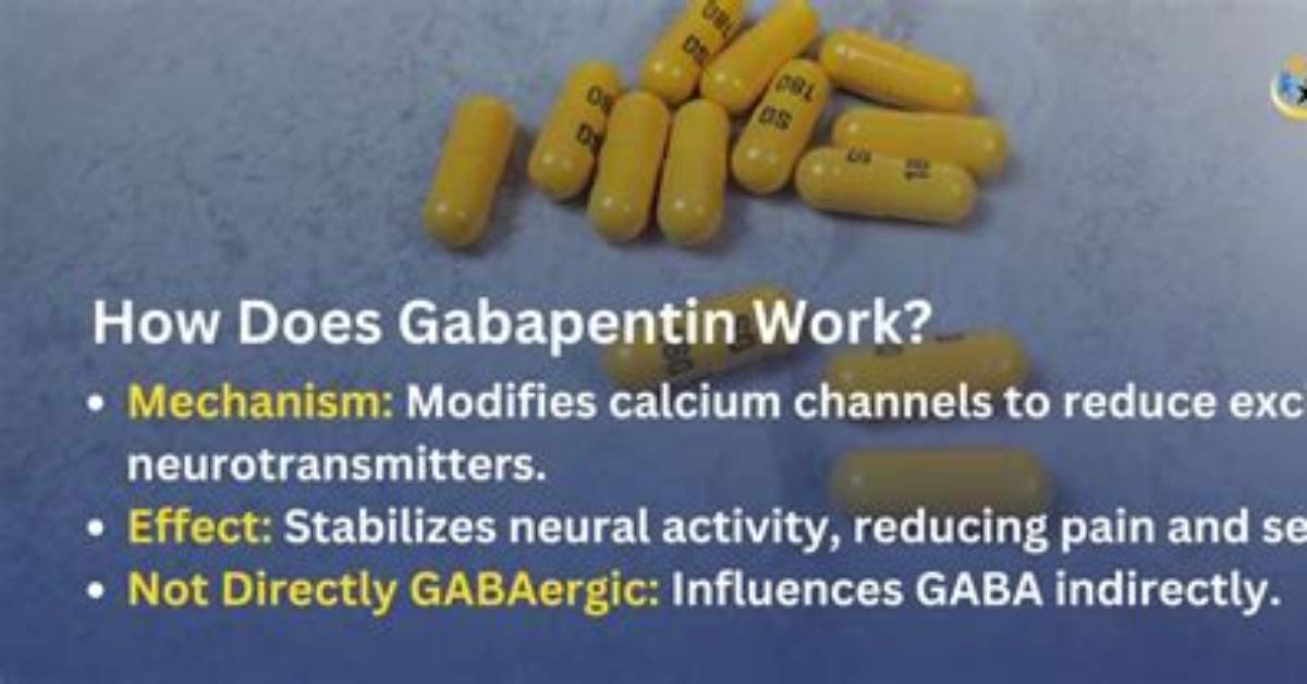What Organs Does Gabapentin Affect?