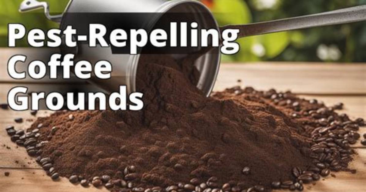 What Pests Do Coffee Grounds Repel?