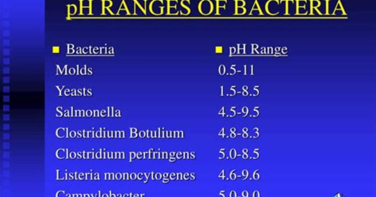 What pH Do Bacteria Prefer